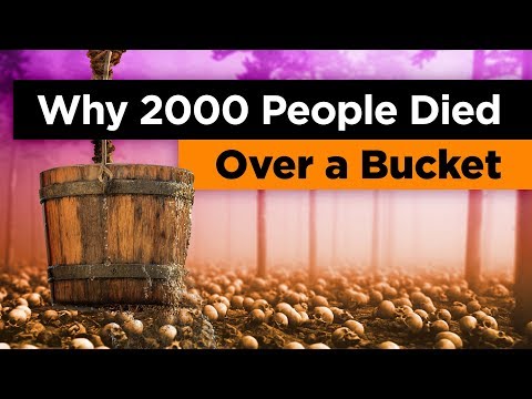 Why 2000 People Died Fighting Over a Bucket