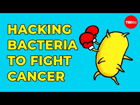 Hacking bacteria to fight cancer - Tal Danino
