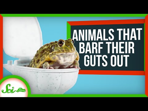 3 Reasons Animals Puke Their Guts Out (Literally)