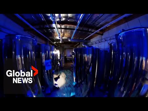 Inside a cryonics facility preserving terminally-ill people (and pets) to wake up in the future