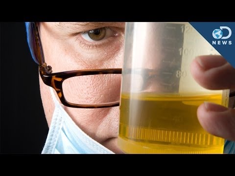 Is It Safe To Drink Your Urine?