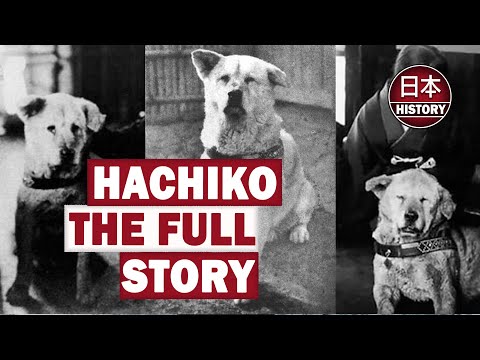 Hachiko The Full Story of a Loyal Dog: AI Colorization &amp; Real Bark.