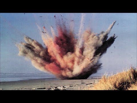 The Disastrous Exploding Whale of Florence, Oregon