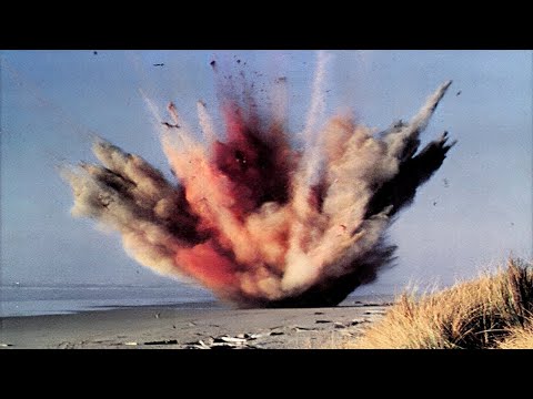 Top 10 Extraordinary Cases Of Exploding Animals - 47