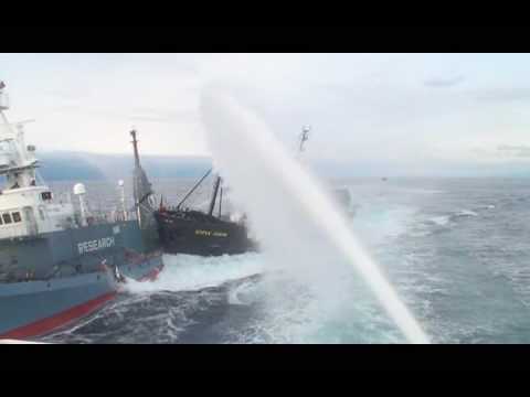 Whale Wars: Season 2 – SSCS Rams Japanese Ship (2nd Angle)