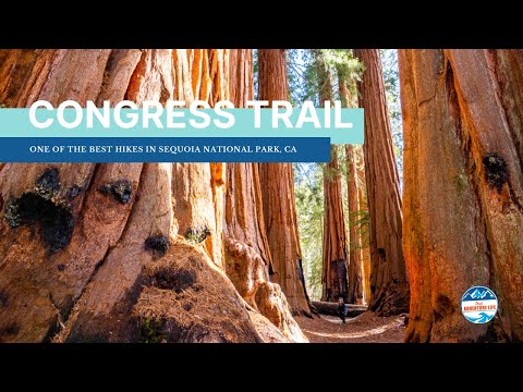 Congress Trail, one of the best hikes in Sequoia National Park
