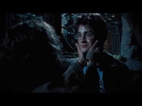 Harry Potter Has His Mother&#039;s Eyes