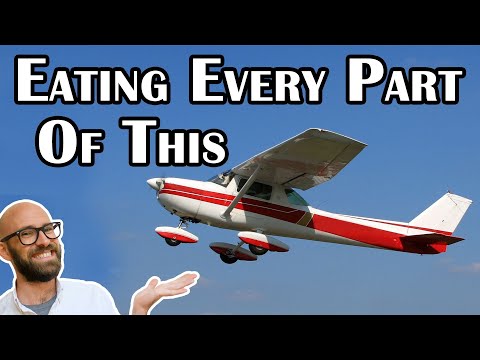 The Man Who Literally Ate an Entire Airplane