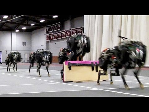 Robots that can adapt like animals