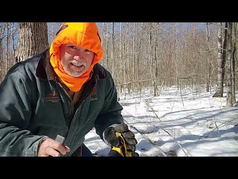 Greatest bigfoot encounter to date Northern Maine/Canadian Border