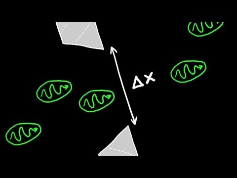 Heisenberg&#039;s Uncertainty Principle Explained