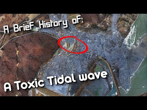 A Brief History of: Kingston Fossil Plant coal ash spill (Short Documentary)