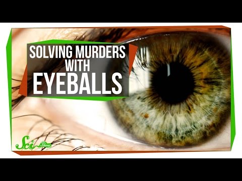Victorian Pseudosciences: Solving Murders with Eyeballs