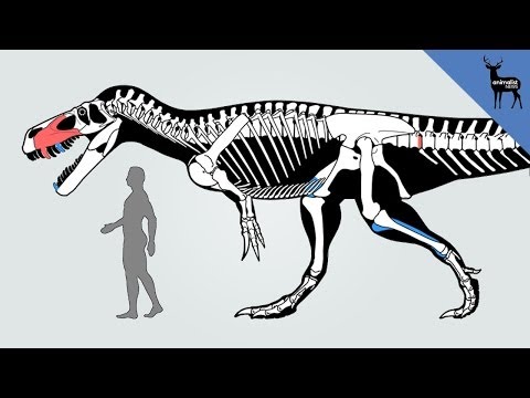 10 Dinosaurs We ve Only Recently Discovered - 6