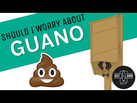 Bat Guano! Helpful or Dangerous?