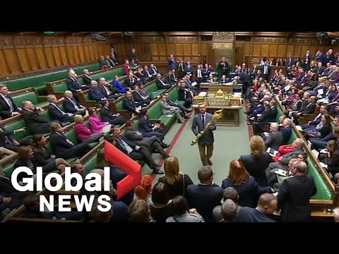 Brexit: British MP seizes mace, tossed from parliament