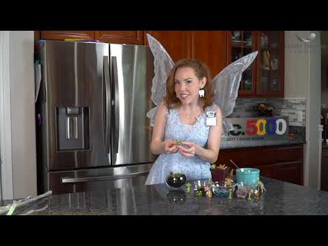 Light Dental Studios Tooth Fairy Tales Episode 10: Terrarium at Home