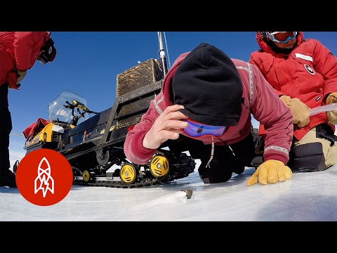 Capturing Space Rocks in Antarctica