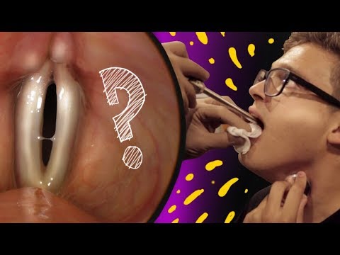 A Beatboxer&#039;s Vocal Cords -Tom Thum (Live From the Larynx ep1.)