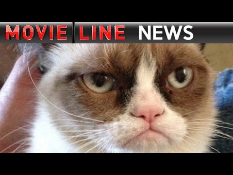 Grumpy Cat Movie First Look