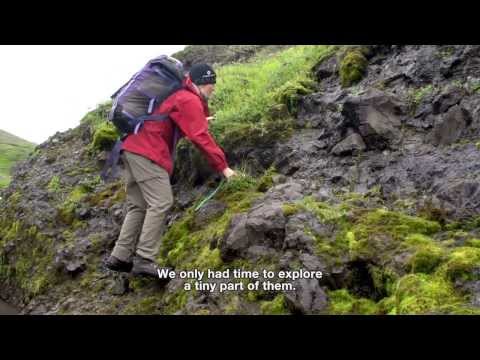Discovering Arctic Plants: Expedition Arctic