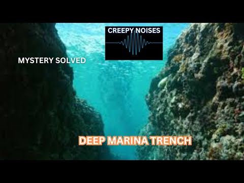 The Biotwang: The Most Mysterious Marina Trench Mystery Solved