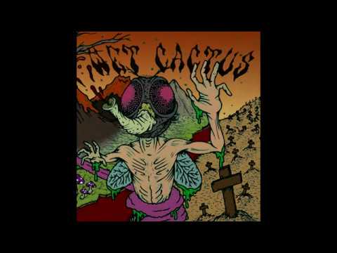 Psychedelic &amp; Stoner Rock Compilation