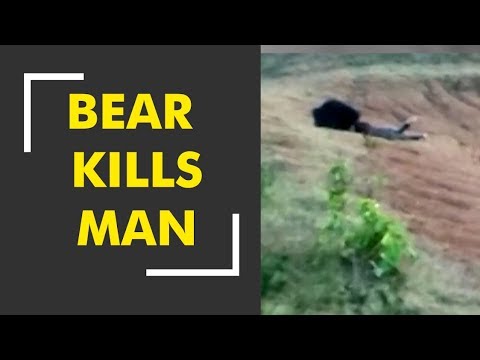 Bear claims life of a man in Odisha