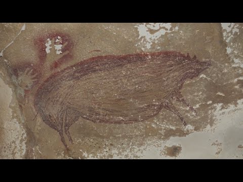 Oldest Cave Art Found in Sulawesi