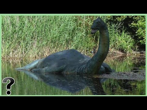 What If We Drained Loch Ness?