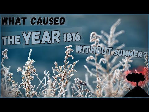 What Caused the Year Without Summer? The Story Behind 1816’s Climate Catastrophe!