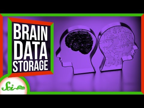 How Much Data Can Our Brains Store?