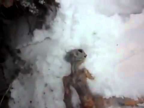 UFO Video of dead alien found in snow in Russia - UFO crash?