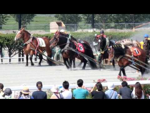 Banei Tokachi Horse Race , Hokkaido