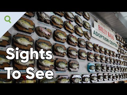 Where Singing Fish Go To Die - The Billy Bass Adoption Center