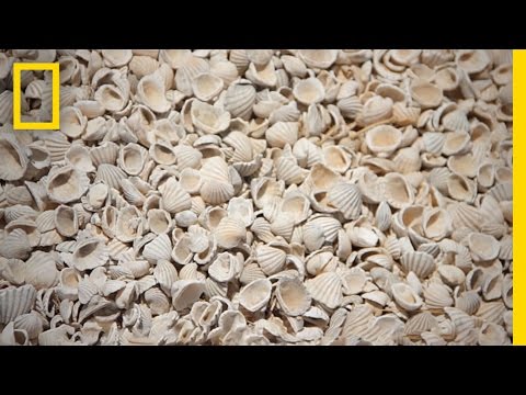Visit a Village on an Island Made of Shells | National Geographic