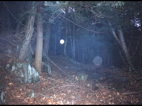 The Darkest Forest In America - Dudleytown