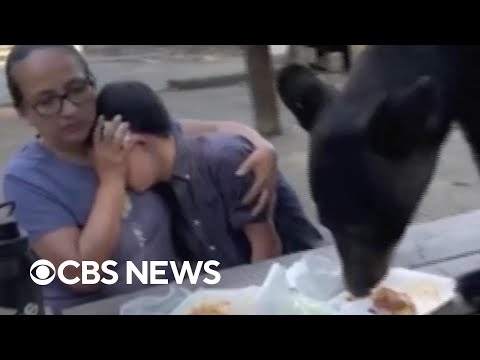 Mother shields son as bear interrupts family picnic in Mexico