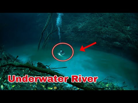 Cenote Angelita - Underwater River, Mexico 🇲🇽