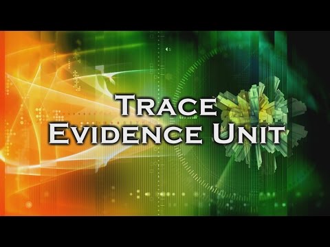 Inside the Crime Lab: Trace Evidence Unit