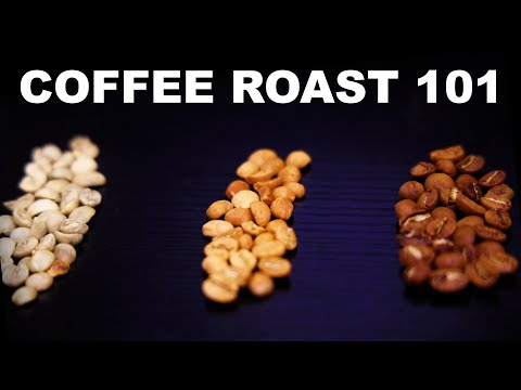 Light roasts vs. dark roasts | Coffee basics and science explained