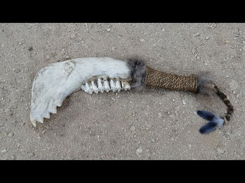 Primitive technology: how to make the most deadly primitive jaw bone weapon