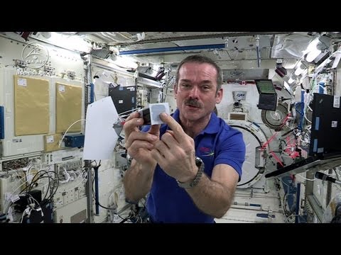 Astronaut Chris Hadfield Plays Jamie Hyneman and Adam Savage&#039;s Space Game on the ISS