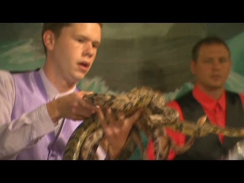 A look at the snake-handling churches of Appalachia