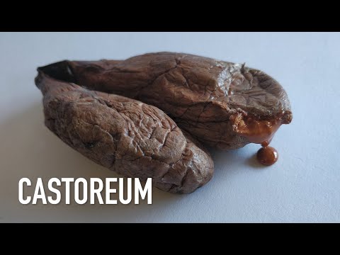 Is there beaver anal juice in vanilla? Castoreum - what&#039;s in our food?