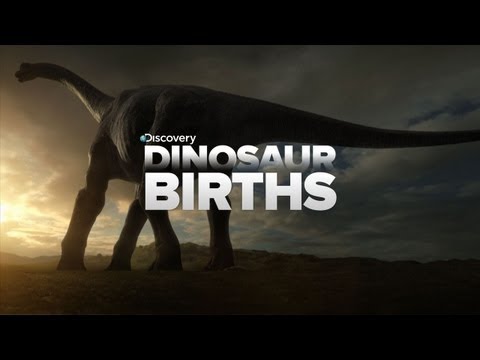 How Dinosaurs Are Born