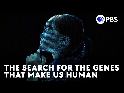 Our “Junk DNA” Is More Important Than We Once Thought