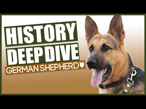 History Of The GERMAN SHEPHERD