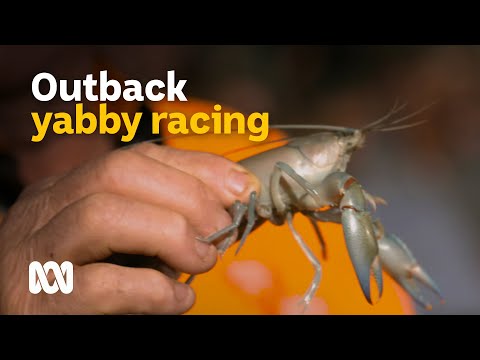 Yabby racing in outback Australia 🦞🏁 | Back Roads | ABC Australia