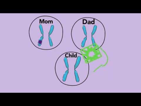 Modes of Inheritance - De Novo - A Primer for Patients &amp; Parents